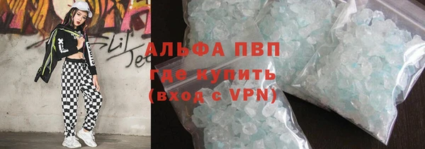 шишки Аркадак