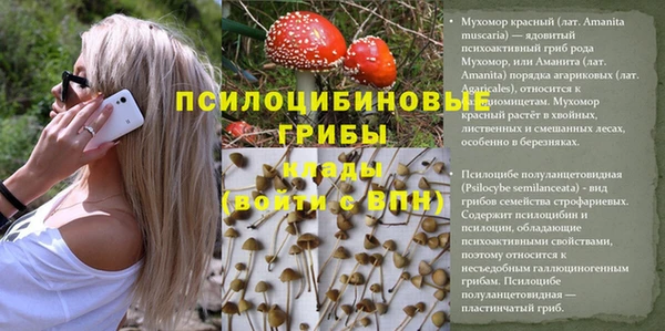 герыч Арсеньев