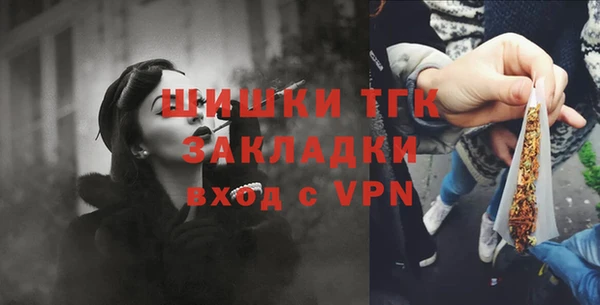 шишки Аркадак