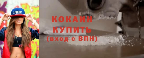 шишки Аркадак