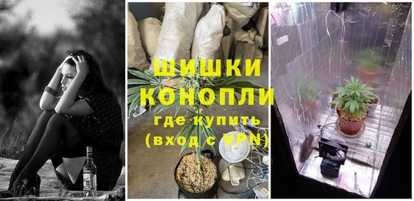 шишки Аркадак