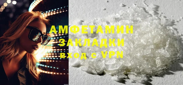 шишки Аркадак
