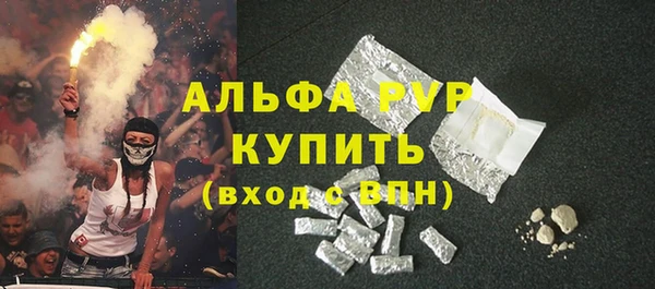 шишки Аркадак