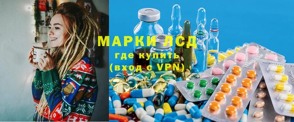 шишки Аркадак