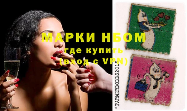 шишки Аркадак
