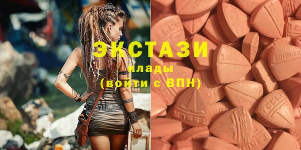 шишки Аркадак