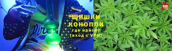 шишки Аркадак