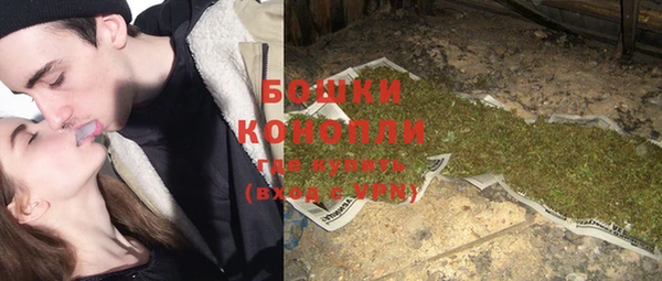 шишки Аркадак
