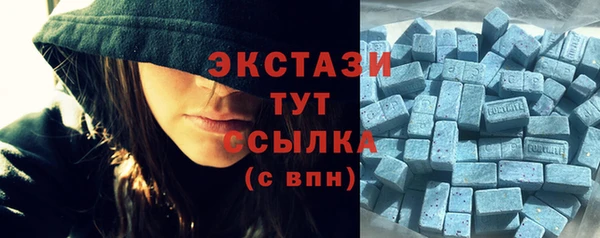 шишки Аркадак