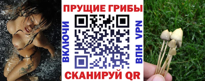 Галлюциногенные грибы MAGIC MUSHROOMS  блэк спрут рабочий сайт  Нея 