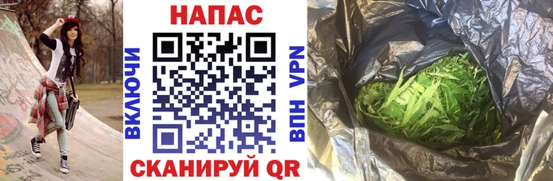 где купить наркоту  Нея  блэк спрут как зайти  Конопля тримм 